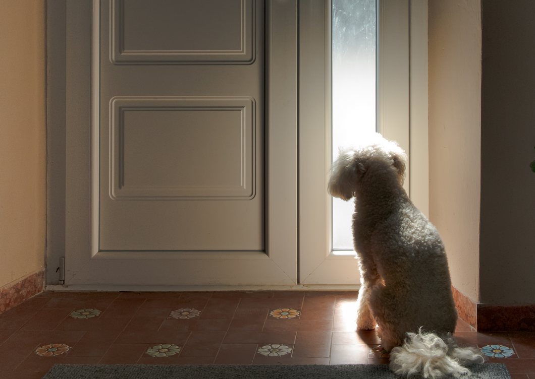 Eroahdistus verkkokurssi