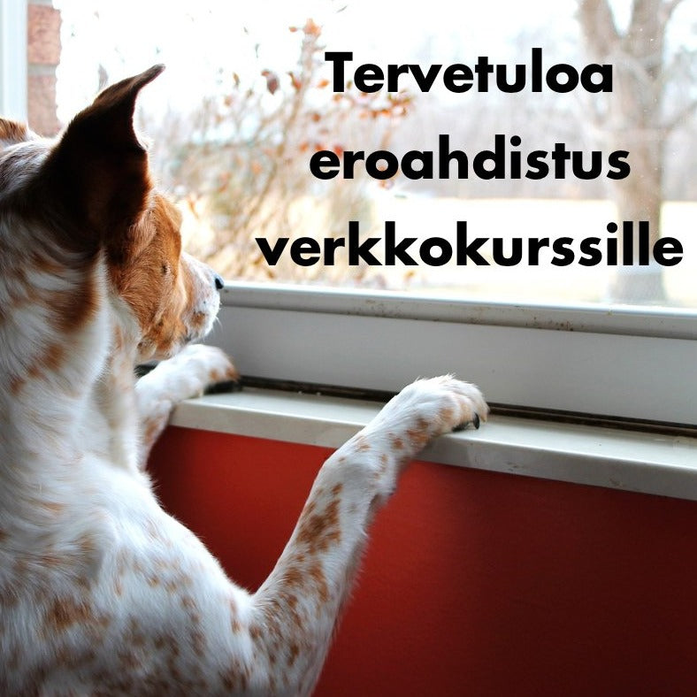 Eroahdistus koiralla verkkokurssi